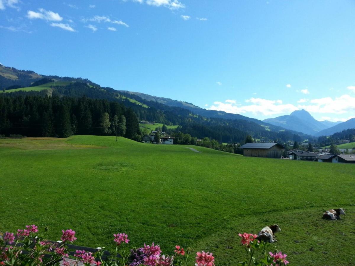 شقة Hof Obertann كيرشبرغ ان تيرول المظهر الخارجي الصورة